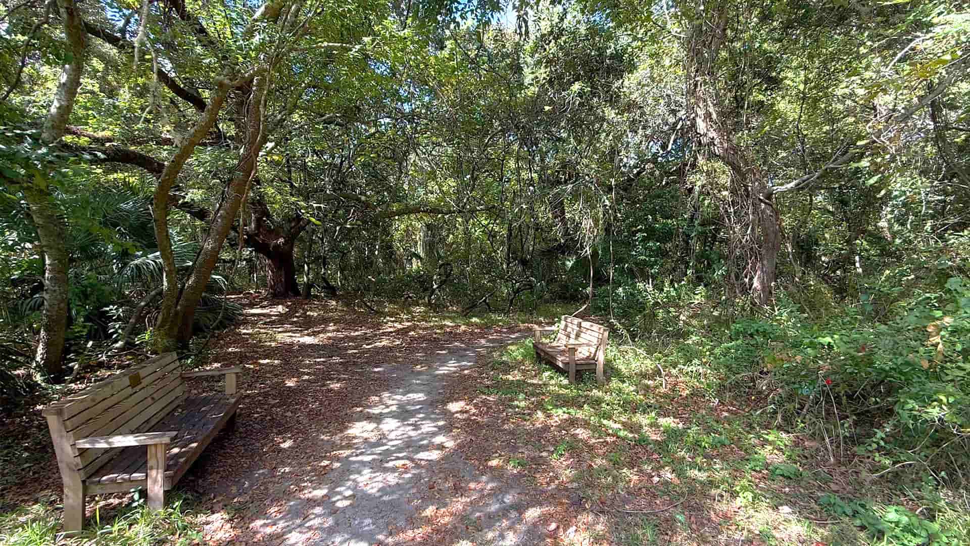 Dauphin Island Indian Shell Mound Park Dauphin Island Indian Shell Mound Park
