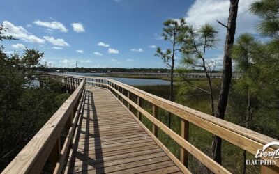 Explore Dauphin Island’s Premier Birding Locations