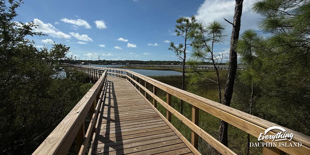 Explore Dauphin Island’s Premier Birding Locations