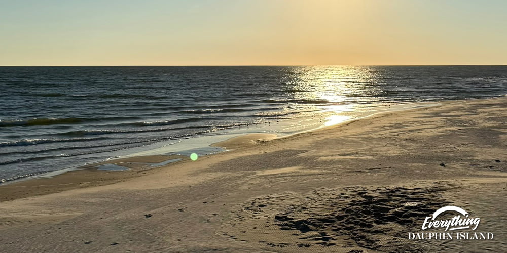 Surviving the Storms: Complete Hurricane History of Dauphin Island (1700-Present)