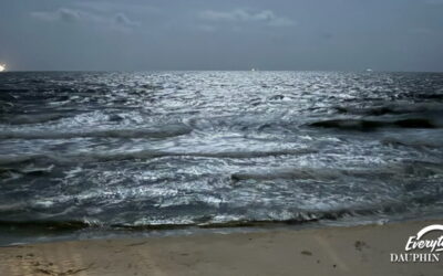 Comprehensive Guide to Finding the Perfect Rental Home on Dauphin Island