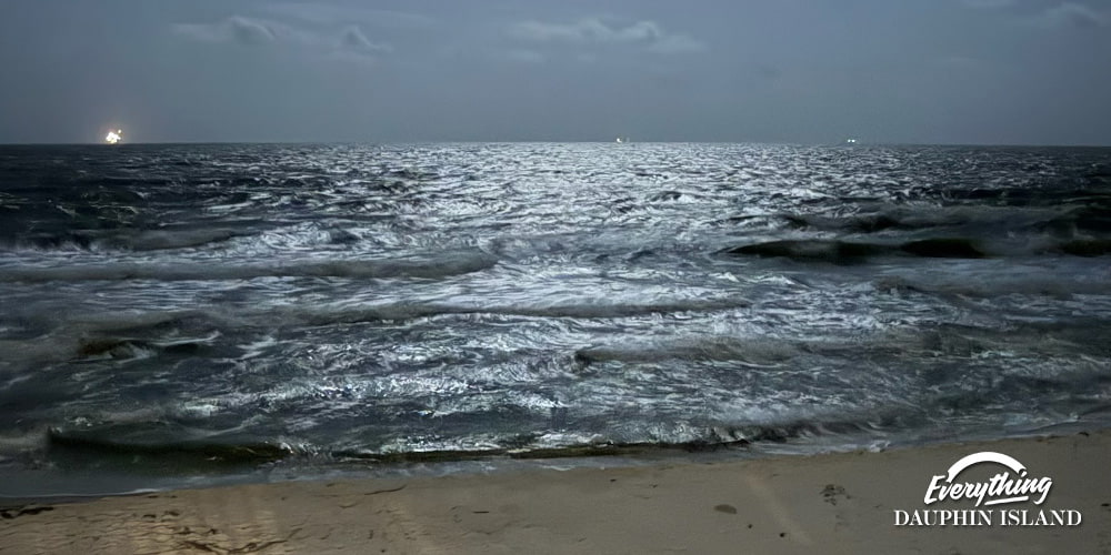 Comprehensive Guide to Finding the Perfect Rental Home on Dauphin Island