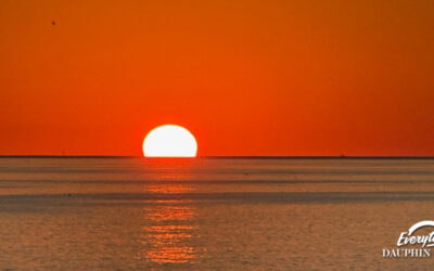 The Dauphin Island Bridge: A History of Alabama’s Gateway to the Gulf
