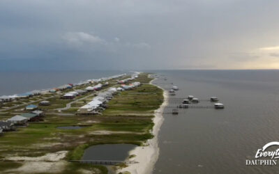 The Complete Guide to Flying to Dauphin Island: Airports, Routes, and Transportation Options