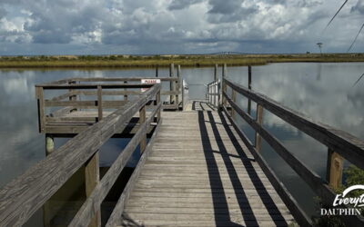 When Is Dauphin Island Crowded? A Complete Guide to Beating the Crowds