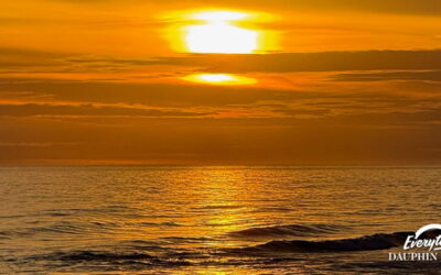 Dauphin Island vs Gulf Shores: Which Alabama Beach Is Right for You?